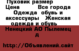 Пуховик размер 42-44 › Цена ­ 750 - Все города Одежда, обувь и аксессуары » Женская одежда и обувь   . Ненецкий АО,Пылемец д.